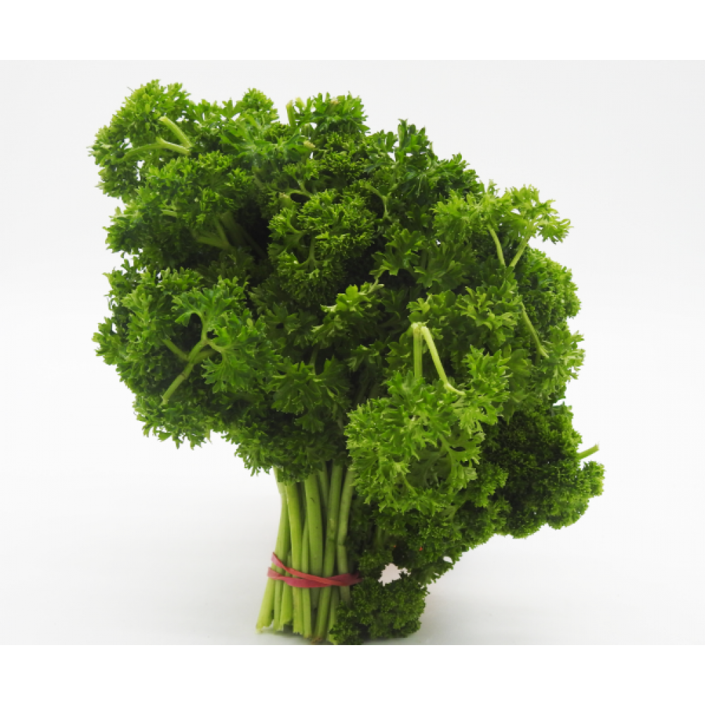 Parsley Curly